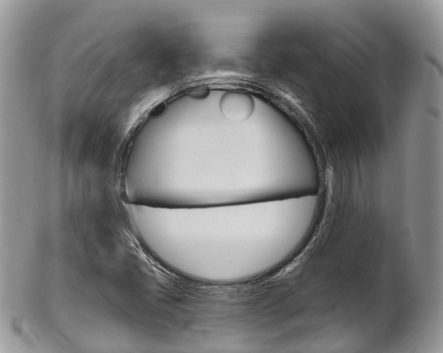 X0000102791405200808180943
