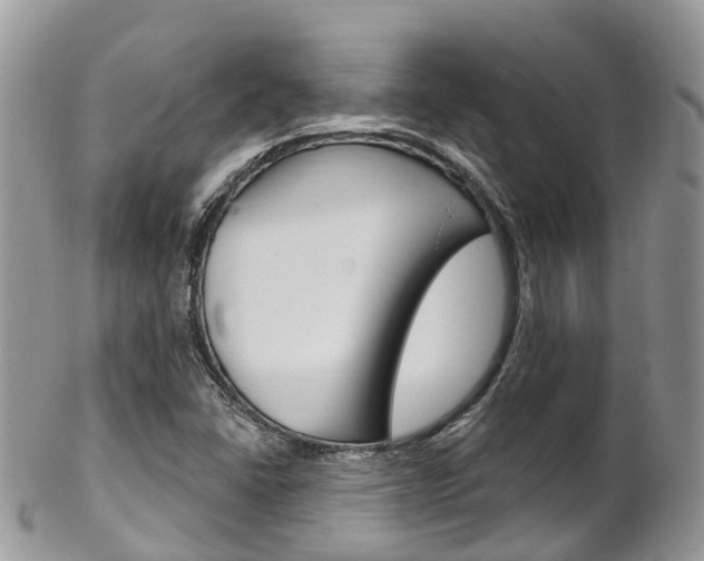 X0000102791406200808180943