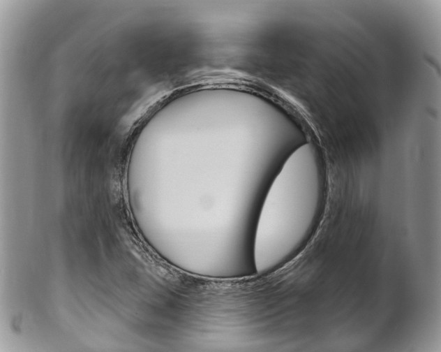 X0000102791407200808180944