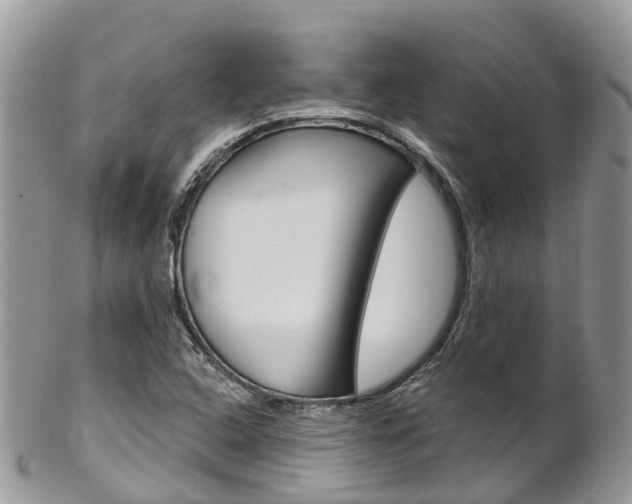 X0000102791408200808180944