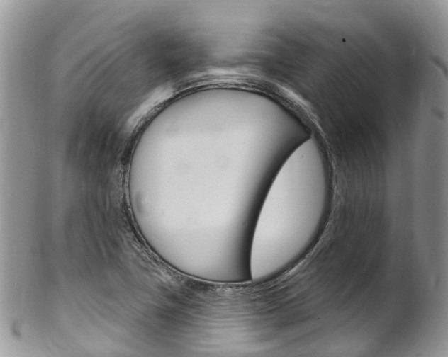 X0000102791411200808180944