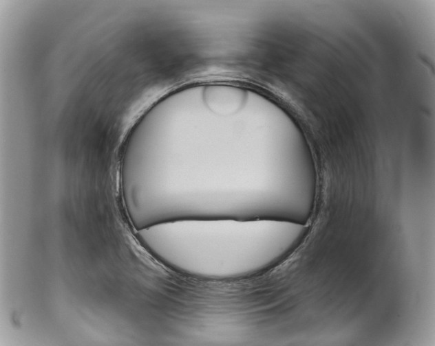 X0000102791413200808180944