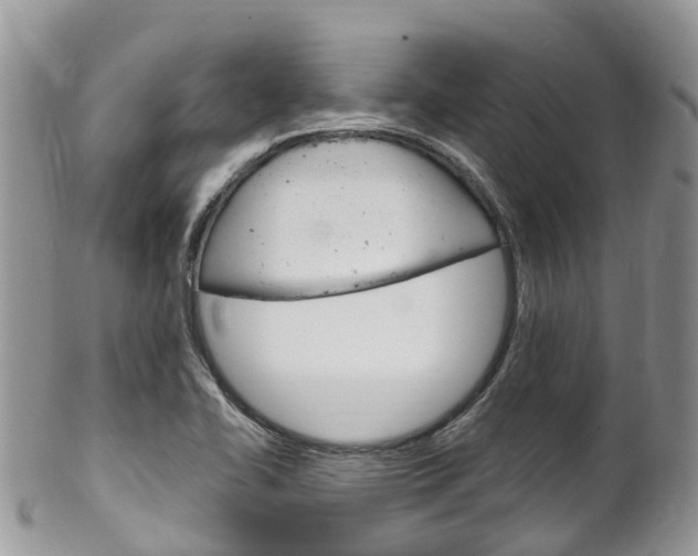 X0000102791414200808180944