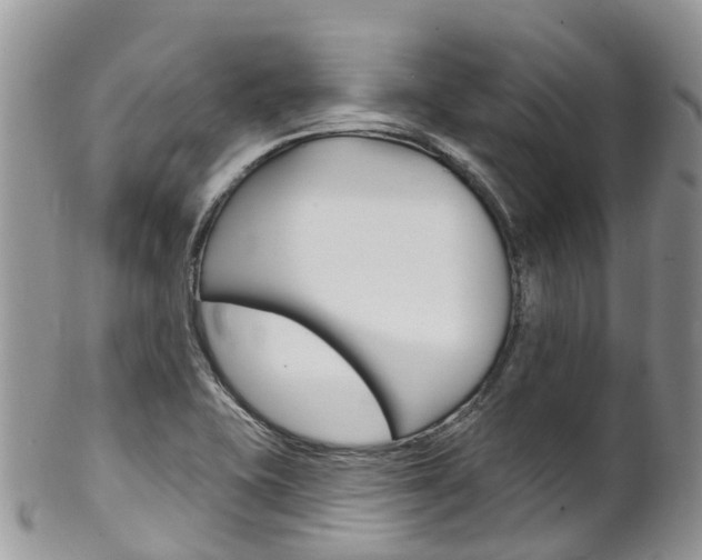 X0000102791415200808180944