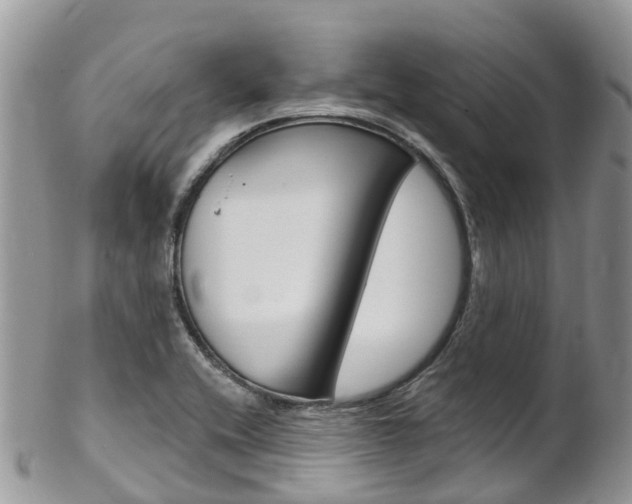 X0000102791416200808180944