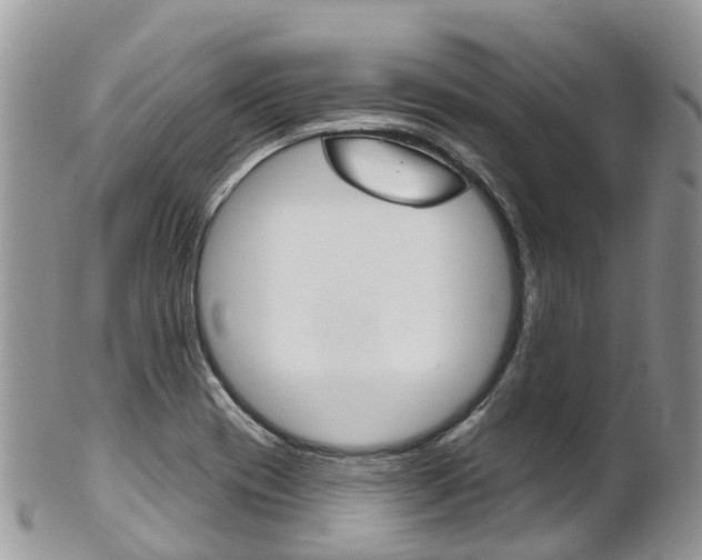 X0000102791417200808180944