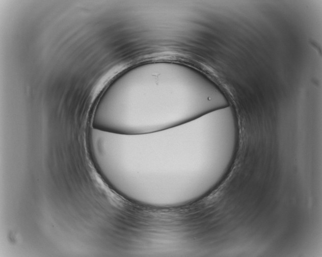 X0000102791418200808180944