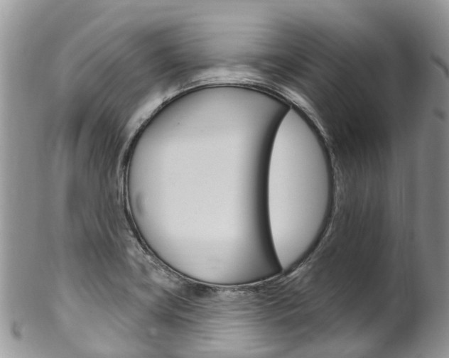 X0000102791419200808180944