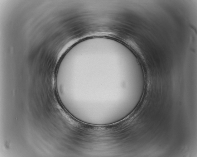 X0000102791420200808180944
