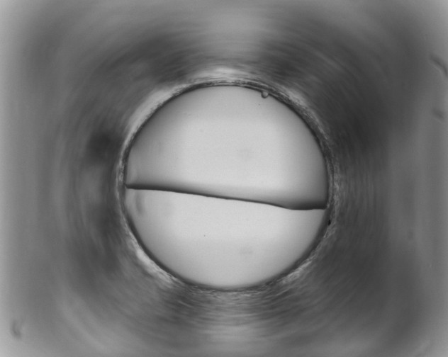 X0000102791421200808180944