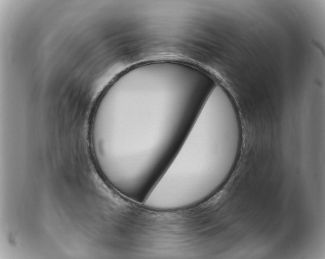 X0000102791422200808180944