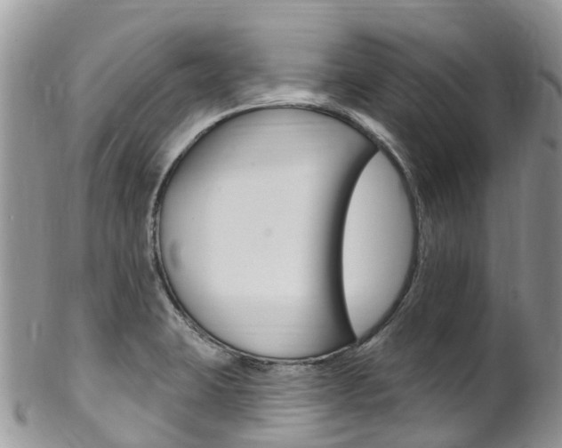 X0000102791423200808180944