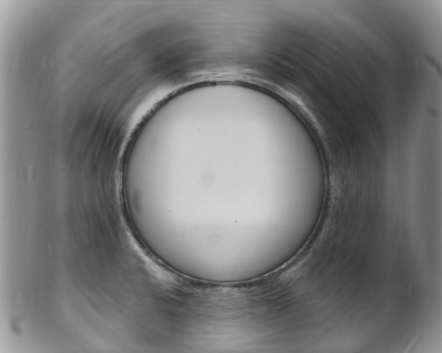 X0000102791424200808180944