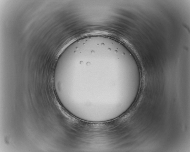 X0000102791425200808180944