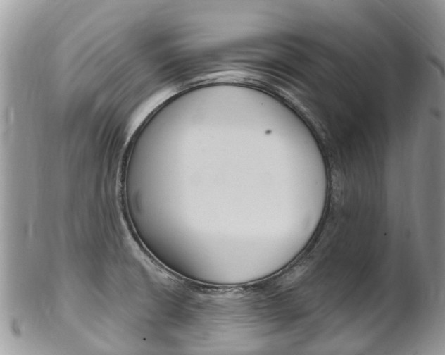 X0000102791426200808180944