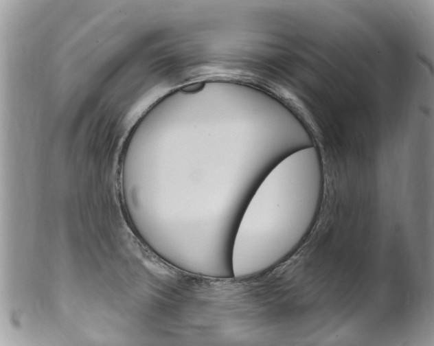 X0000102791427200808180944
