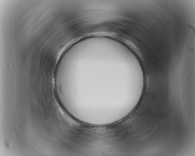 X0000102791428200808180944