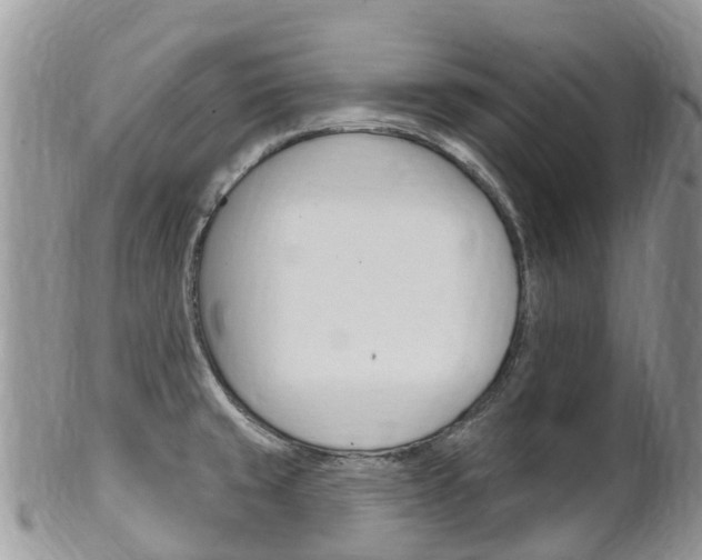 X0000102791429200808180944