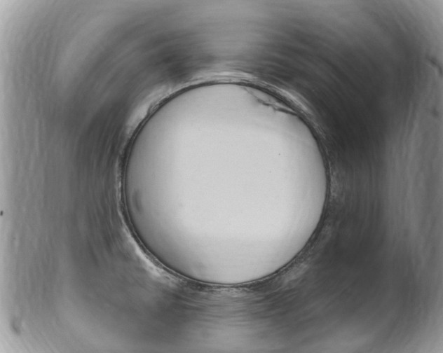 X0000102791430200808180944