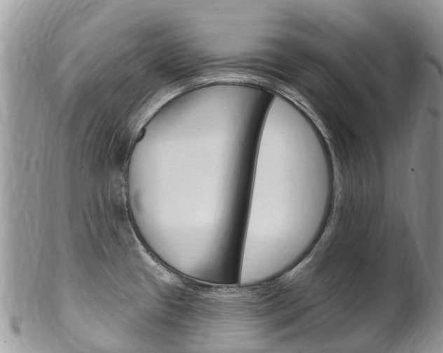 X0000102791433200808180944