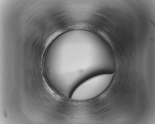X0000102791434200808180944