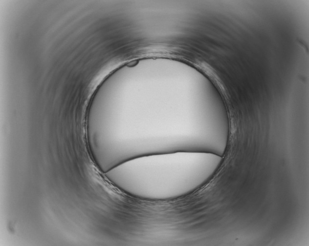 X0000102791435200808180944