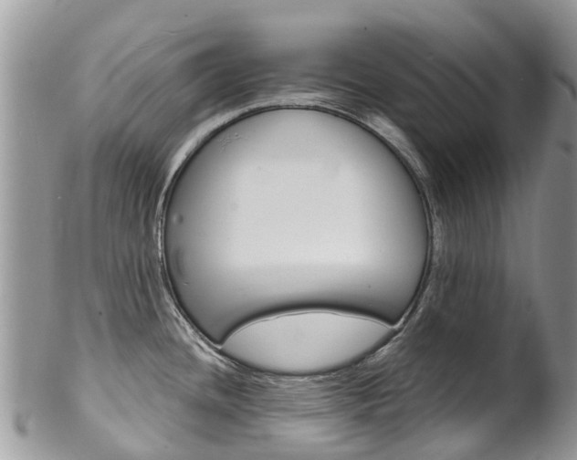 X0000102791436200808180944