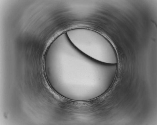 X0000102791437200808180944