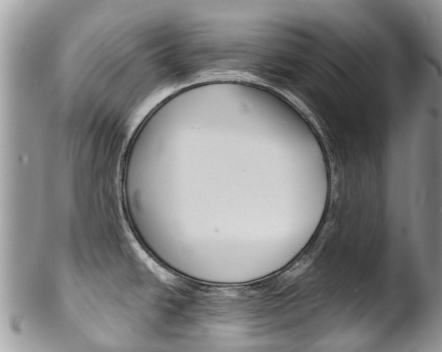 X0000102791438200808180944