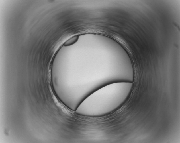 X0000102791439200808180944