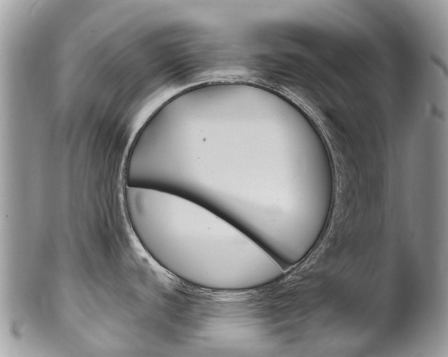X0000102791440200808180944