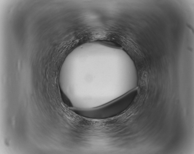 X0000102791441200808180943
