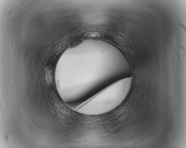 X0000102791442200808180943