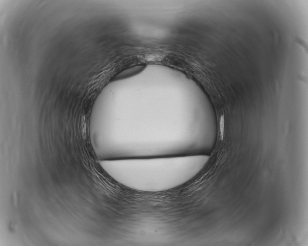 X0000102791443200808180943