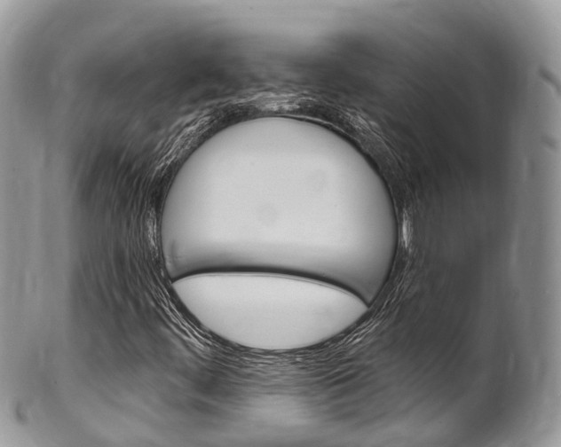 X0000102791444200808180943