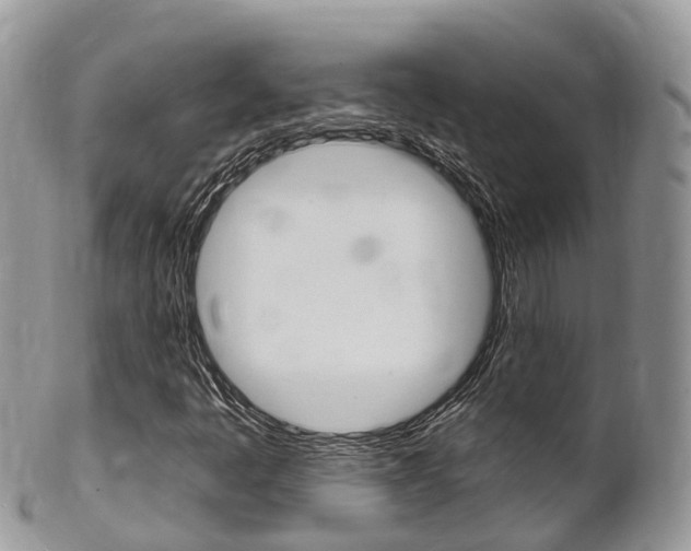 X0000102791445200808180943