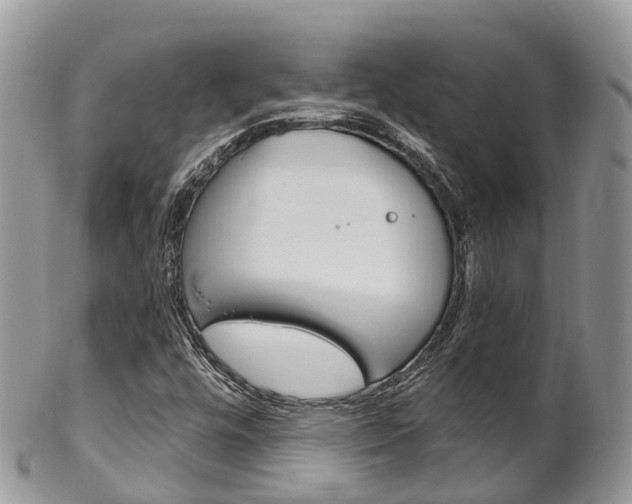 X0000102791448200808180943