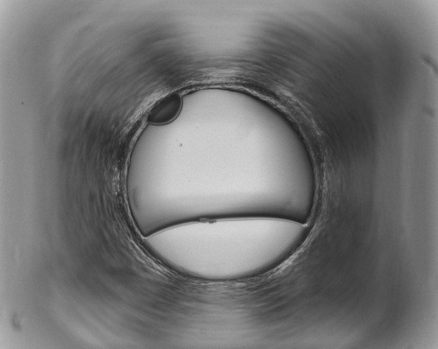 X0000102791449200808180943