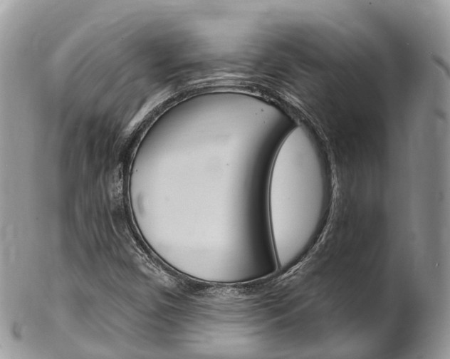 X0000102791450200808180943