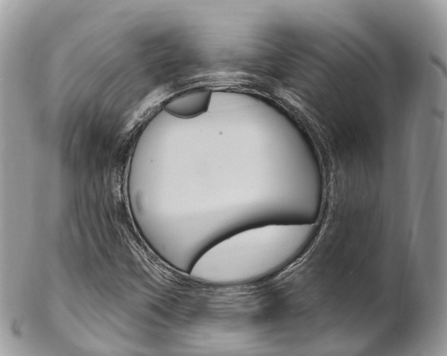 X0000102791451200808180943