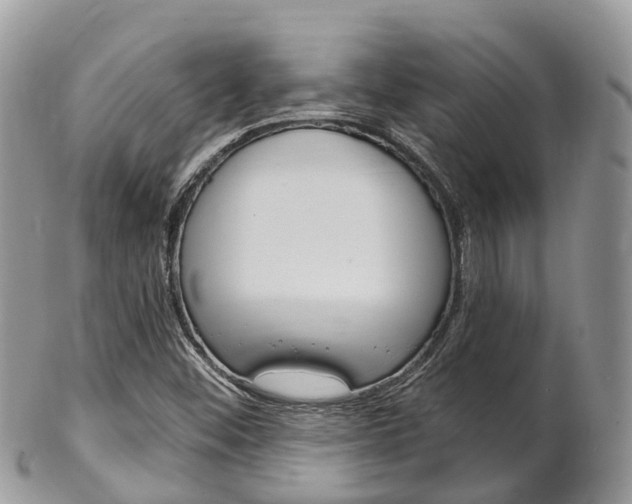 X0000102791452200808180943