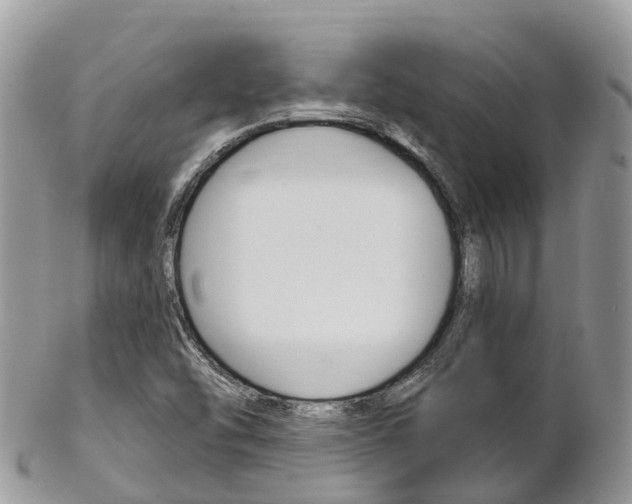 X0000102791454200808180943