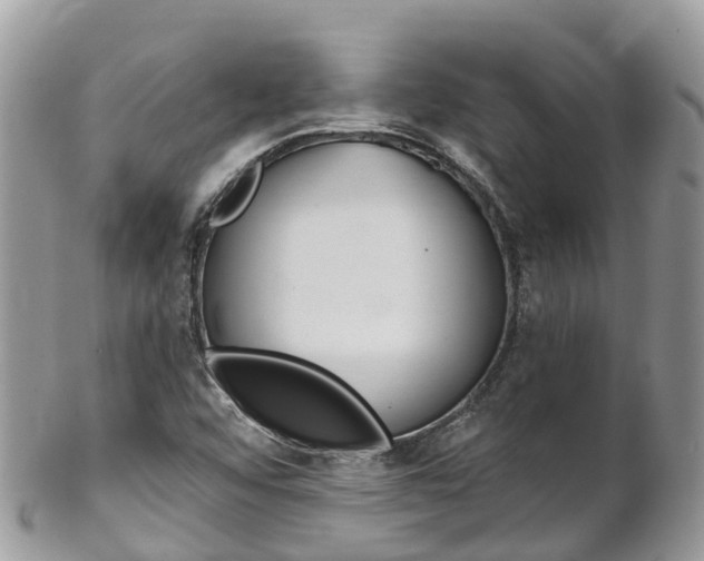 X0000102791456200808180943