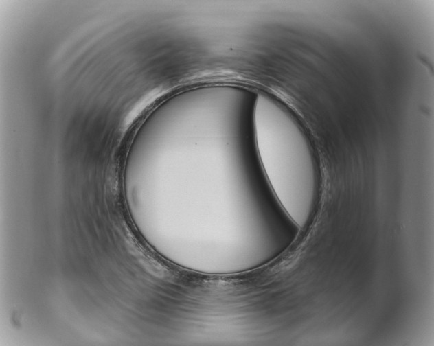 X0000102791458200808180943