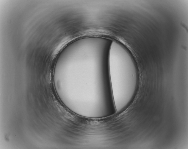 X0000102791459200808180943
