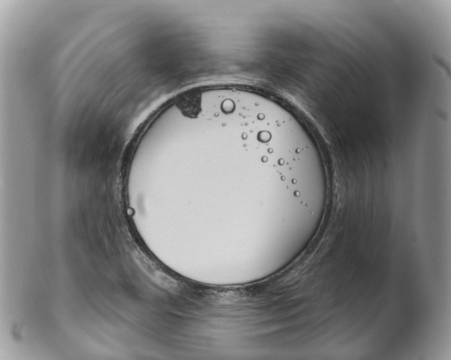 X0000102791460200808180943