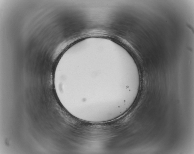 X0000102791461200808180943