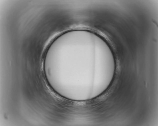 X0000102791462200808180943