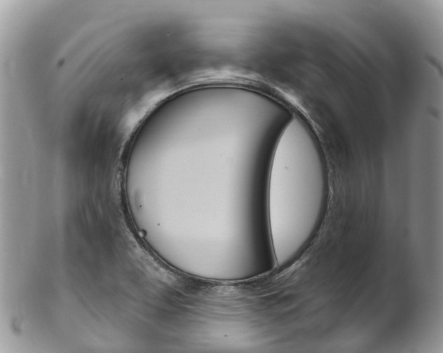 X0000102791463200808180943
