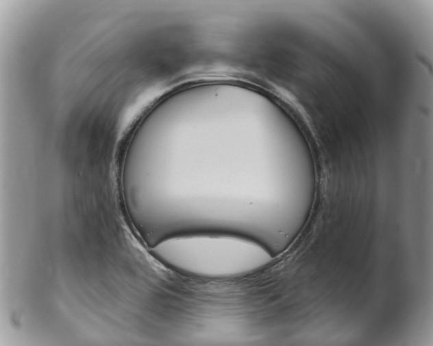 X0000102791464200808180943